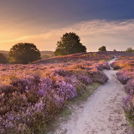 Sfeervol Midden In De Veluwe, Apartment Hoenderloo